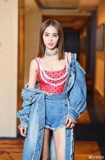 蔡依林退出娱乐圈