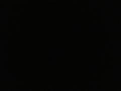 段同愿资料,探寻历史足迹，传承文化精髓